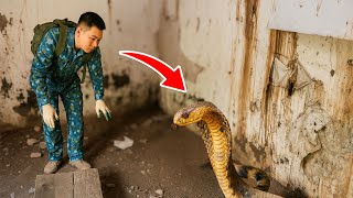 TREASURE Hunter Finds GOLD and a Giant COBRA in Abandoned House