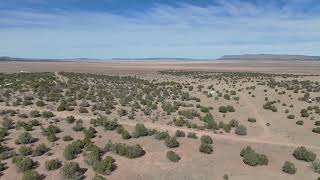 Scenic 1.35-Acre Desert Oasis in Seligman Arizona! Route 66