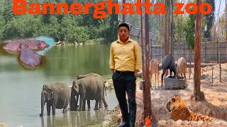 Bannerghatta national zoo ,, Bannerghatta Biological park..