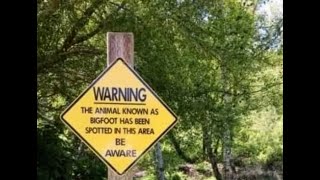 Wolf Creek Sasquatch & River Road Bigfoot Encounters
