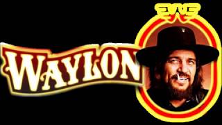 02. Are You Sure Hank Done It This Way - Waylon Jennings & Hank Williams Jr. - Live