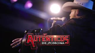 Autenticos de Pomona | #ViernesDePromo