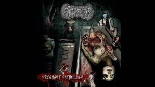 Paediatrician. Pregnant Pathology. Full album.