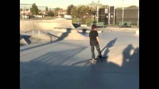treflip