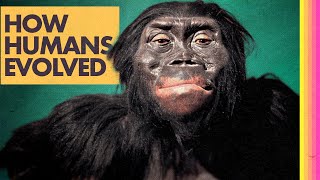 Where Did Humans Come From? (Part 1)