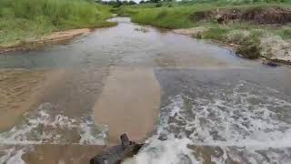 Rasie you consciousness with the water flowing sound! #shorts.