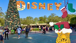Wild Animal Kingdom at Disney, Avatar Flight of Passage, Dinosaur, Safari #WildLife #Animals #Disney