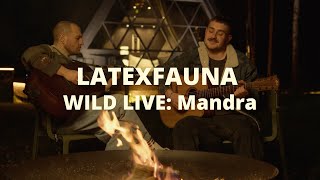 LATEXFAUNA WILD LIVE: Mandra