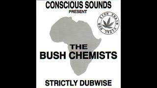 The Bush Chemists - Some People Dub  [ High Sound Quality ]