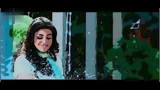 MAA Cartoon News