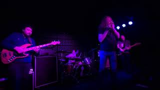 Owl Be Damned 20250227