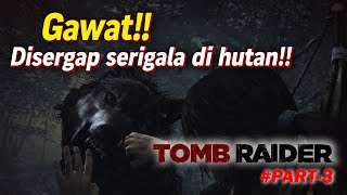 Terjebak & Diserang Serigala di Tengah Hutan | Tomb Raider 2013 Part 3