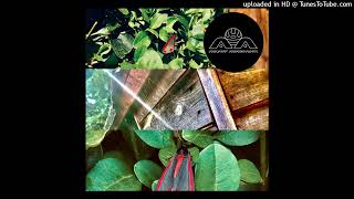 Lone - Cwtched (2003)