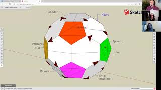 Q/A Live Class of Six Elements 4: The Language of the Spherical Meridian Flow