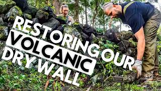The Battle to Restore Our Ancient Lava Rock Wall | Off-Grid Island Homestead 