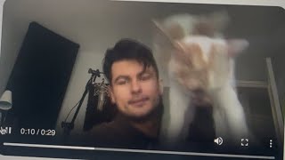 math rock cat interrupts video interview