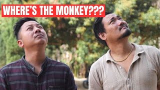 ARE YOU A MONKEY OR AN ELEPHANT | DREAMZ UNLIMITED