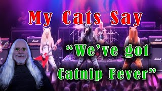 My Cats Say...." We've Got Catnip Fever Video"