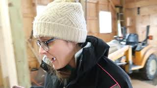 Building a New Chicken Coop