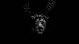 Jungle Spirits 7 (Dub Mix)