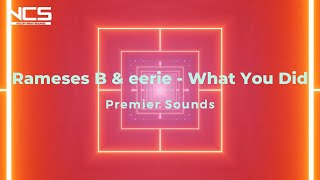 【NCS】Rameses B & eerie - What You Did