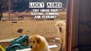 Prepping The Tiny House: Flooring, Off Grid Electric, and Starlink? (Lucky Acres Day 26)