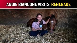 Take a Nap with Arkansas Derby Contender RENEGADE!
