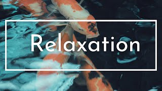Koi Fish Pond Relaxing Music, Meditation, Sleep, Yoga, Spa, Study Music.☯002