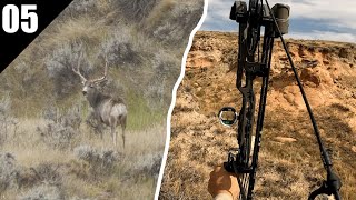 Mule Deer Buck with the Bow! (Open Country Spot & Stalk) | 2025 EP.05