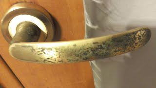 Моя дверная ручка заболела бубонной чумой (жесть)