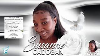 Probono Test Live Stream