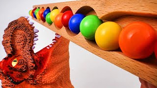 T-Rex Marble Run Race ASMR # 2 ☆ Mouth Menace ☆ Creative Healing Sound DIY Build