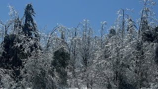 🎶 da Ruckus🐕 in Northern Michigan  is live! Ice is falling