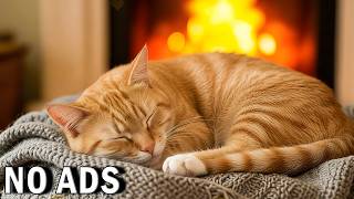2 Hours of Cat Calming Music🎵Separation Anxiety Relief 💖Deep Sleep - Gentle Pet Music 💖