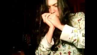 Harmonica Jam !!