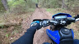 Sam Houston National Forest