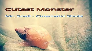 Monsters and Demons on Earth| Mr. Snail - The Cutest Monster