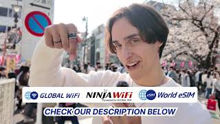 WiFi Rental or eSIM? Which is Best for Your Next Trip? Vision's Network Service