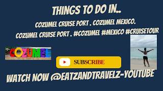 Cruise Excursions on a Budget in Cozumel Mexico🇲🇽#cozumel #cruise #affordabletravel #shorts #travel