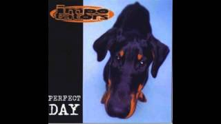 Impotators - Respect