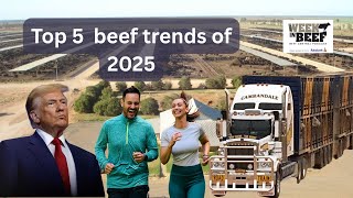 Top trends that defined 2025 “the Goldilocks year”