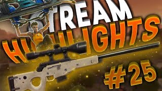 Stream Highlights #25