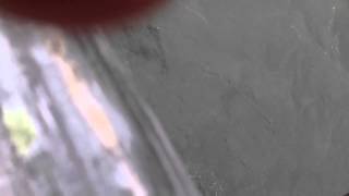 4 foot sandbar shark part 2