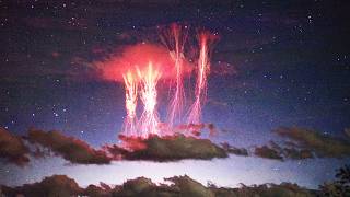 The Most Unbelievable Nature Videos Ever