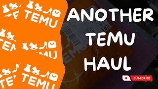 Another Temu Haul - I could not stop myself - a Very Random Haul - with Product links