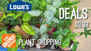 $9.98 Plants on Sale!! Unexpected Houseplants on SALE at Lowe’s! Run dont Walk! Shopping & Mukbang!