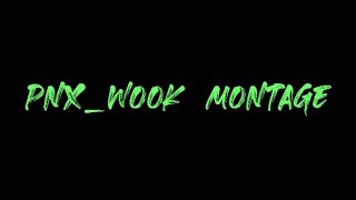 PNX_WOOK l PUBG Montage #1