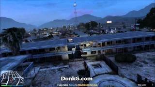 GTA V Cleaning the Cat House