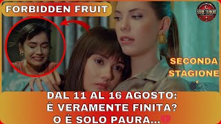FORBIDDEN FRUIT (YASAK ELMA) SPOILER/ANTICIPAZIONI SETTIMANALI DAL 11 /16 AGOSTO: SVOLTA A UN PASSO