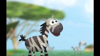 Zebra says hi